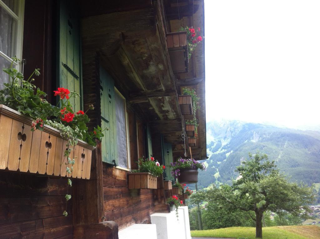 Ferienwohnung Im Grunen Grindelwald Exterior foto