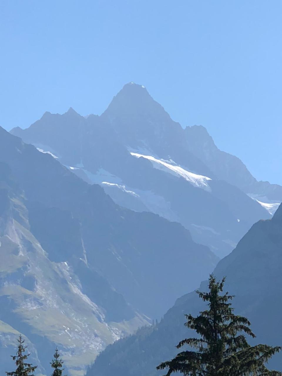 Ferienwohnung Im Grunen Grindelwald Exterior foto